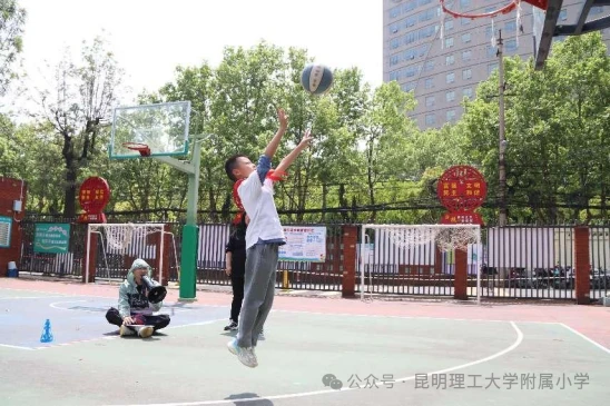 篮球训练活动内容记录范文_2